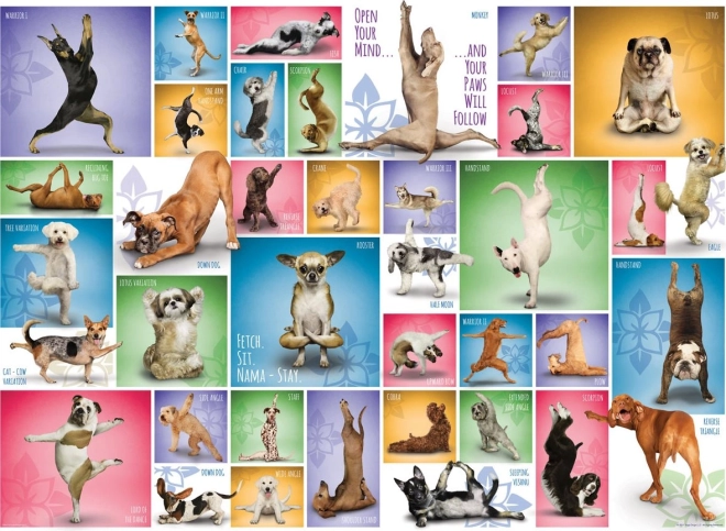 Puzzle EUROGRAPHICS Yoga canina 1000 piezas