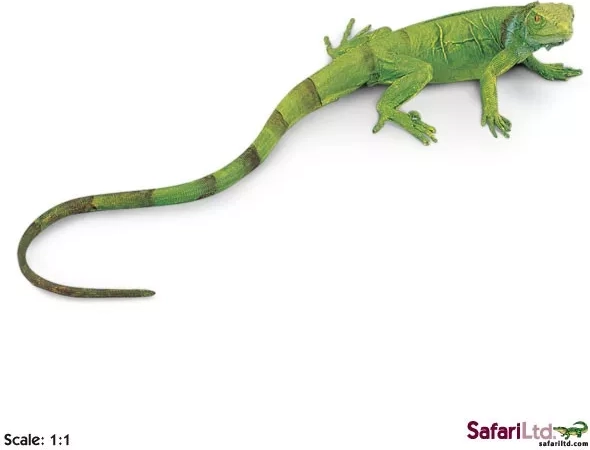 Safari Ltd. cría de iguana verde - 1 pieza