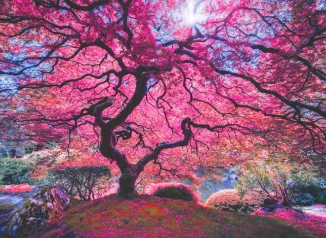 Puzzle Árbol Rosa 1000 piezas