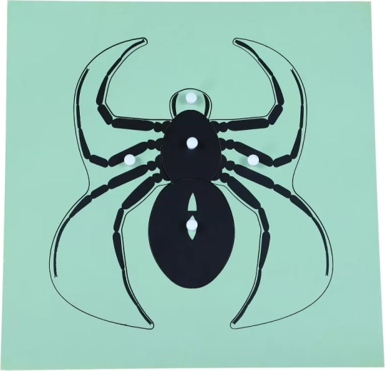 Rompecabezas Montessori araña
