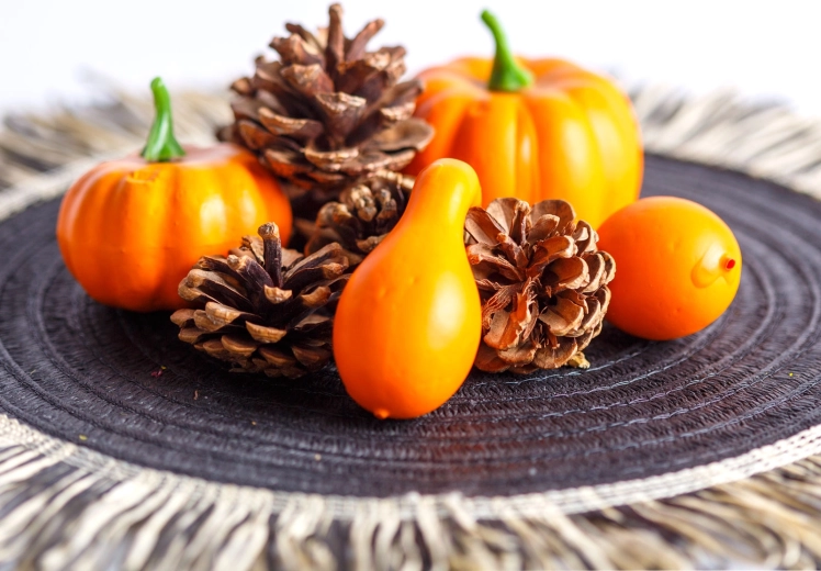 Set decorativo otoñal de calabazas y piñas, 9 piezas