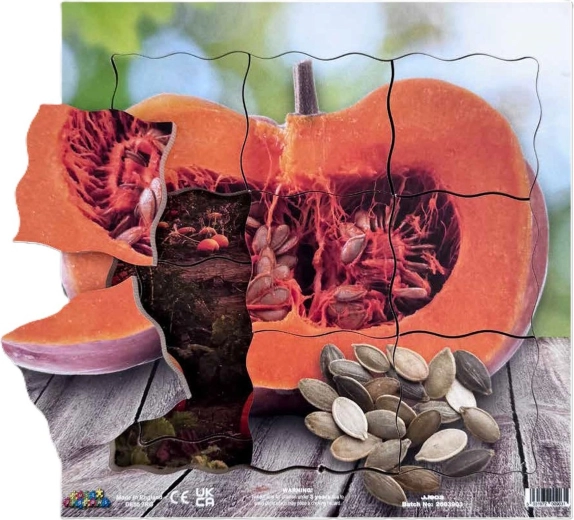 Just Jigsaws: la calabaza y sus fases de crecimiento vegetativo – rompecabezas de madera en capas, 19 piezas