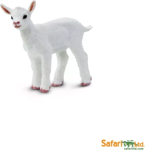 Cabrito