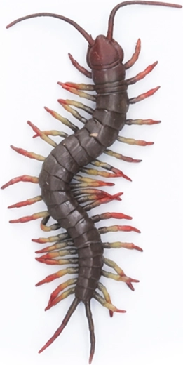 Ciempiés gigante de goma de 23 cm