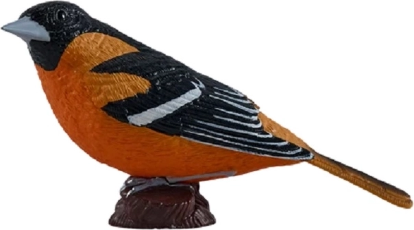 Mojo oropéndola europea