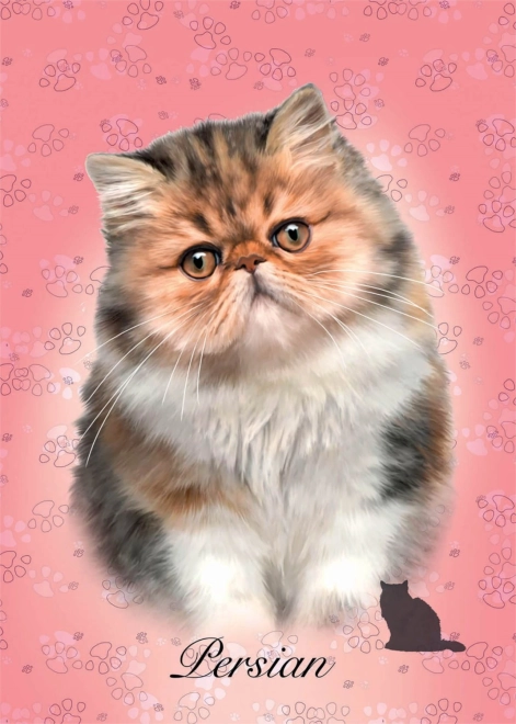 Puzzle Gato persa 100 piezas