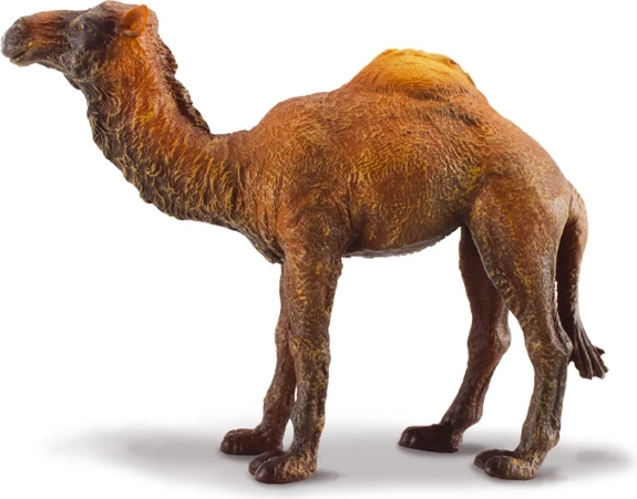 Figura de dromedario Collecta