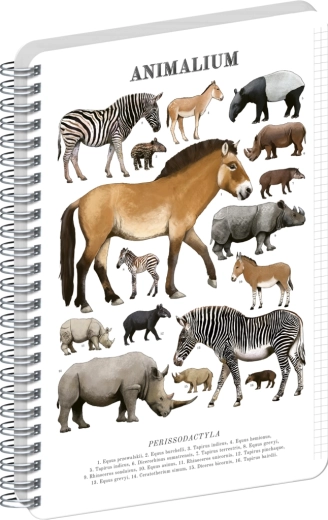 Bloc espiral Notique Animalium – perisodáctilos, A4, cuadriculado