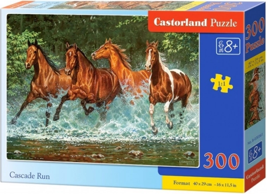Rompecabezas de 300 piezas Cascade Run