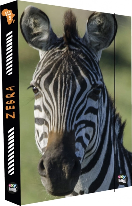 Caja OXY para cuadernos Zebra