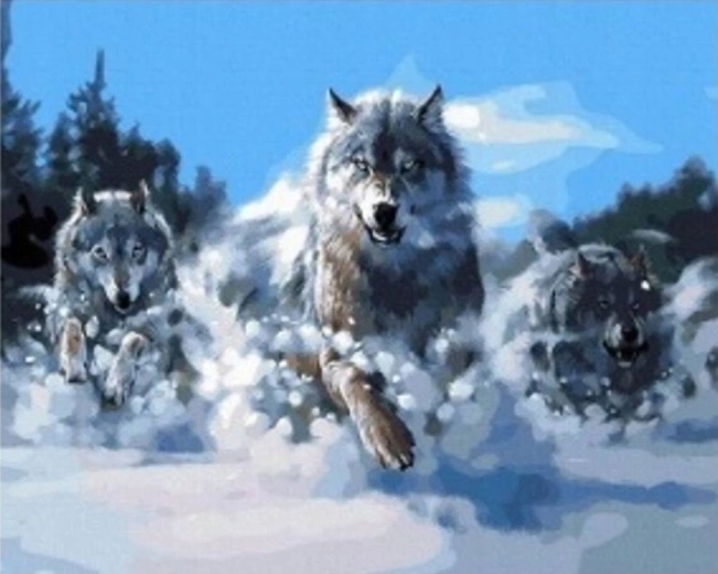 Pintura de diamantes Manada de lobos en la nieve 30 × 40 cm