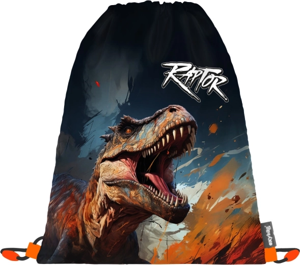Bolsa para zapatillas dino