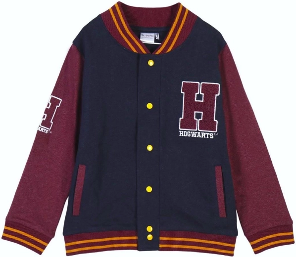 Sudadera Harry Potter