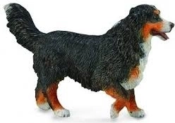 Figura de perro de montaña bernés Collecta