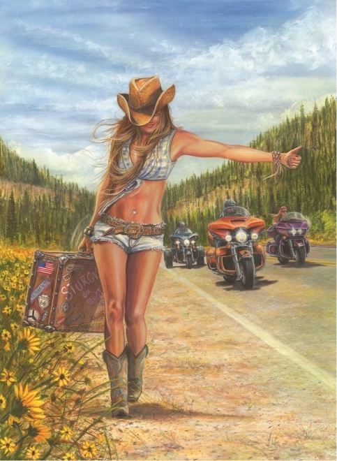 Puzzle American Gypsy de 1000 piezas