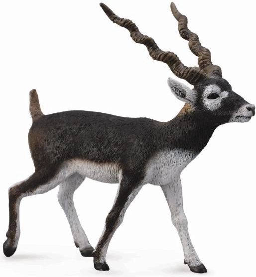 Figura de plástico de antílope cervicapra COLLECTA
