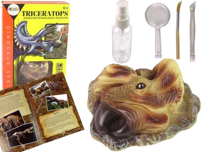 Kit educativo de excavación Triceratops