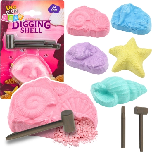 Set arqueológico de fósiles marinos – kit de excavación con conchas y herramientas