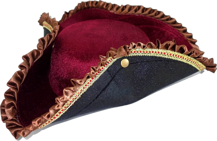Sombrero de conde (de disfraz) - 1 pieza