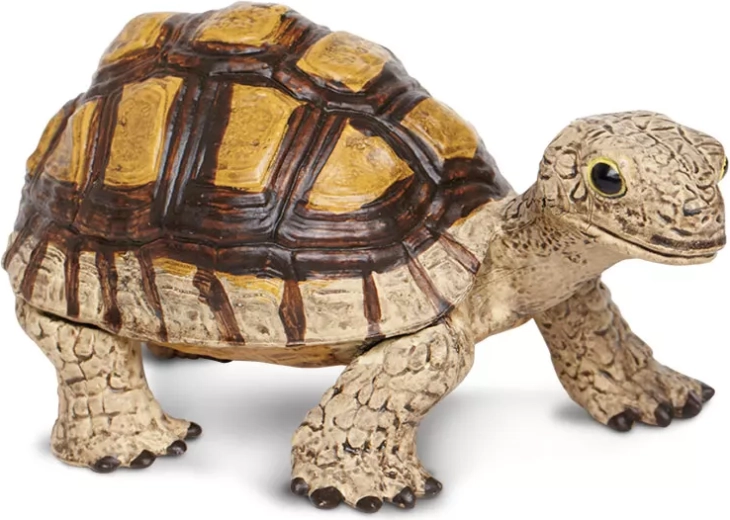 Cría de tortuga Safari Ltd.