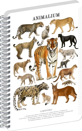 Bloc de espiral Notique Animalium – felinos salvajes, A5, cuadriculado
