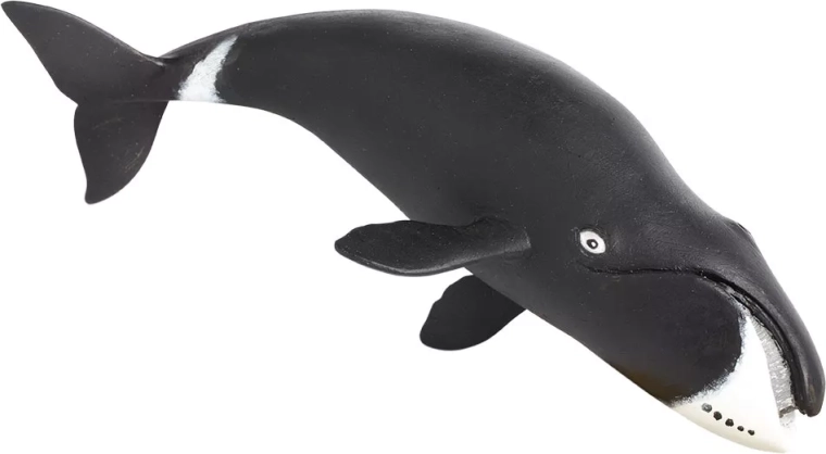 Safari Ltd. figura de ballena boreal