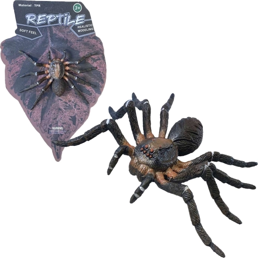 Naturaleza viva: Wolf Spider – modelo realista de araña (12 cm)