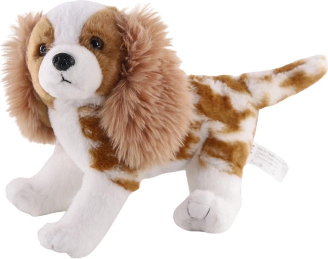 Perro de peluche Cavalier King Charles spaniel 26 cm