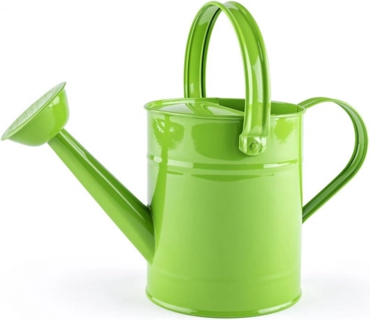 Regadera verde de metal WOODY para niños