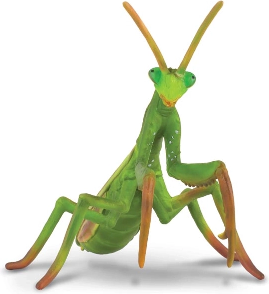 Mantis religiosa: figura de plástico COLLECTA