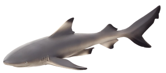 MOJO figura de tiburón de punta negra XL 16 cm