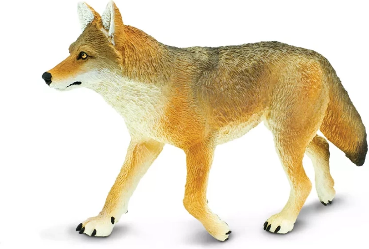 Safari Ltd. figura de coyote - 1 pieza