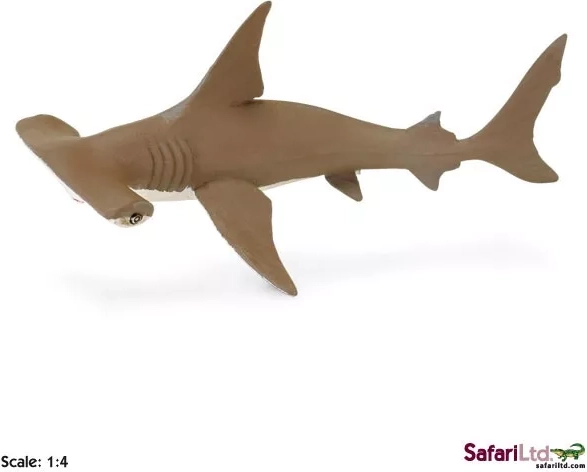 Safari Ltd. cría de tiburón martillo bronceado