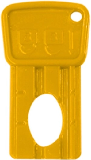 Llave de encendido para vehículo eléctrico infantil Ride-on Power Drag - 1 unidad