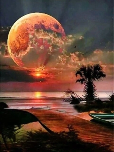 Norimpex pintura por números Luna sobre la costa 40 × 50 cm