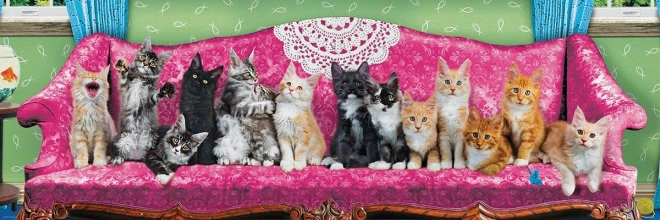 Puzzle panorámico Gatos en el sofá de los gatos - 1000 piezas