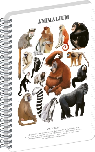Bloc espiral Notique Animalium – primates, cuadriculado A5