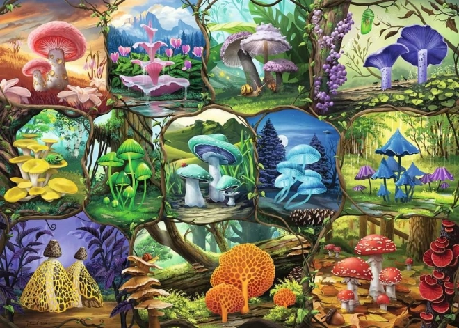 Puzzle Ravensburger de hermosas setas 1000 piezas