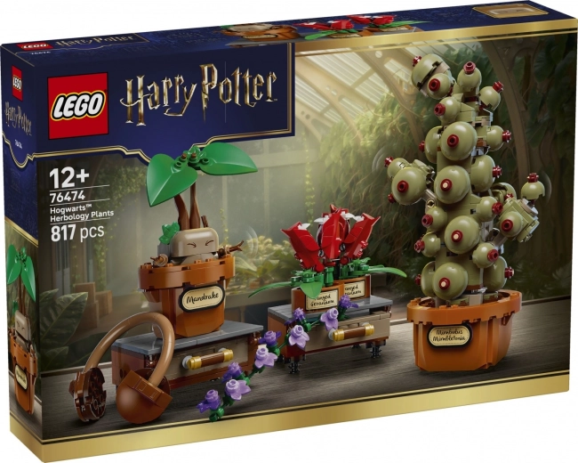 LEGO Harry Potter Plantas de la clase de Herbología en Hogwarts