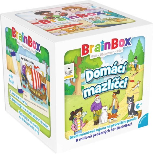 Asmodee BrainBox mascotas domésticas