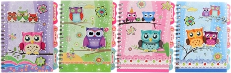Cuaderno con búhos