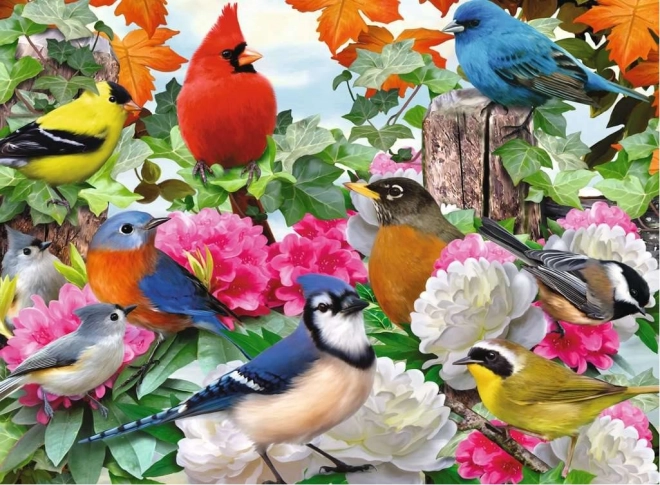 Puzzle Ravensburger Pájaros de jardín 500 piezas