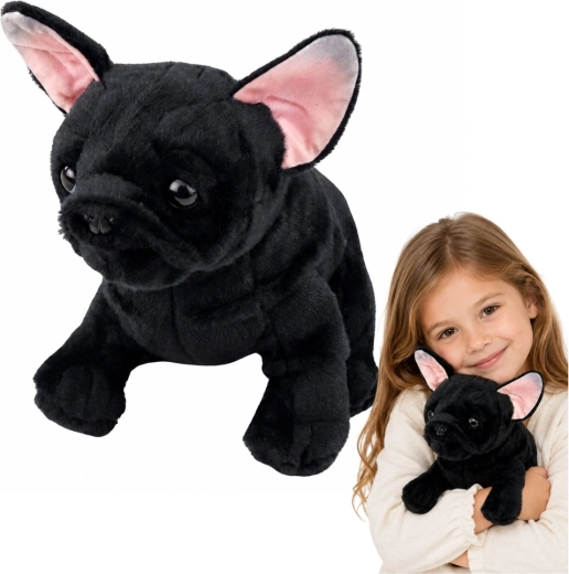 Perrito bulldog francés de peluche negro 22 cm