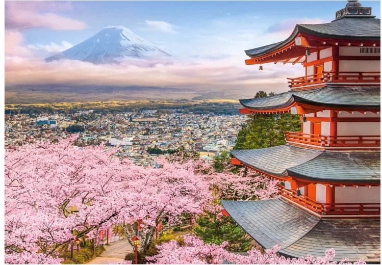 Puzzle Castorland Primavera en Japón 500 piezas