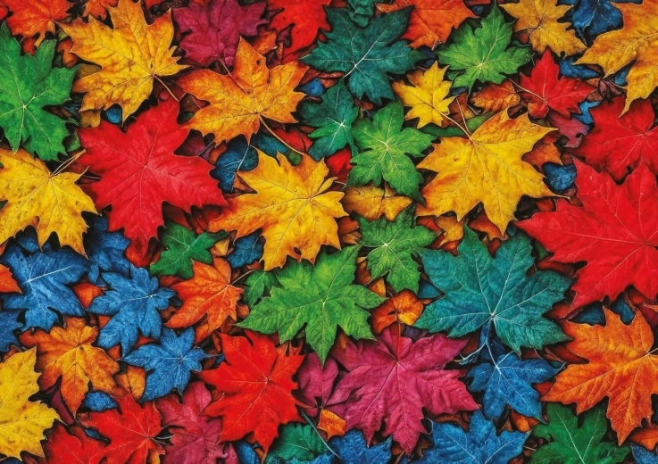 Puzzle Hojas de colores 1000 piezas