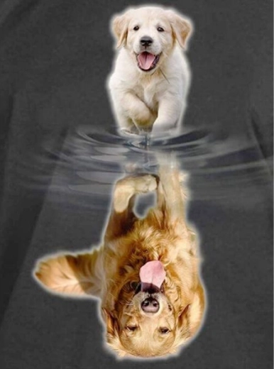 Pintura con diamantes – reflejo en el espejo - perro 30 × 40 cm - 1 pieza