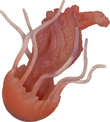 Medusa de goma 10 cm – juguete para bañera y piscina