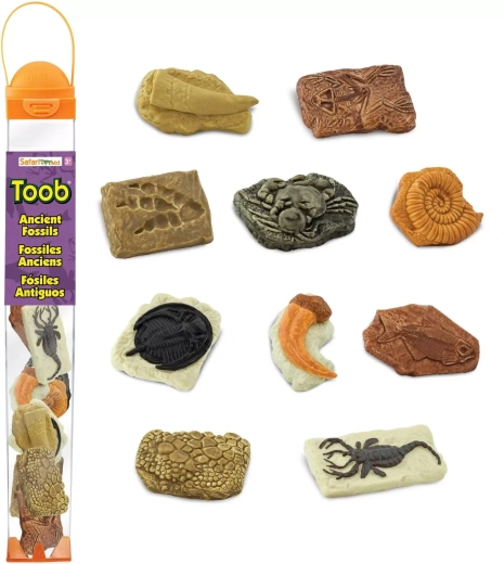Safari Ltd. Toobs tubo de fósiles