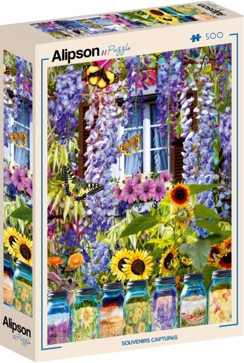 Puzzle Alipson «Recuerdos capturados» 500 piezas