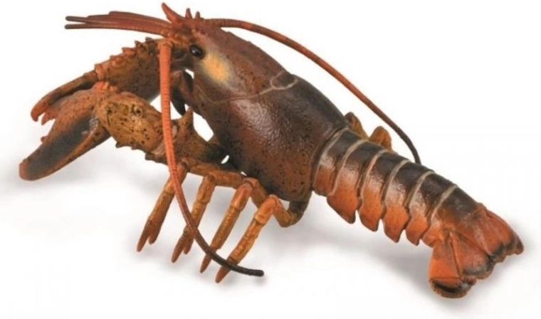 Collecta langosta – figura educativa realista